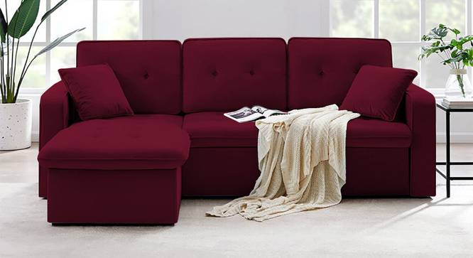 Leo Solid Wood Sofa cum Bed in Maroon (Maroon) by Urban Ladder - Front View Design 1 - 567515