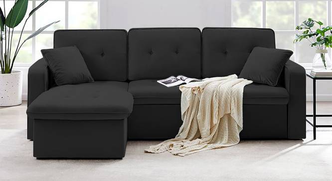 William Solid Wood Sofa cum Bed in Black (Black) by Urban Ladder - Front View Design 1 - 567516