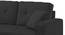 William Solid Wood Sofa cum Bed in Black (Black) by Urban Ladder - Rear View Design 1 - 567573