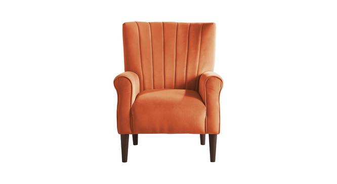 Maxo Bar Chair in Orange Colour (Orange) by Urban Ladder - Front View Design 1 - 567601
