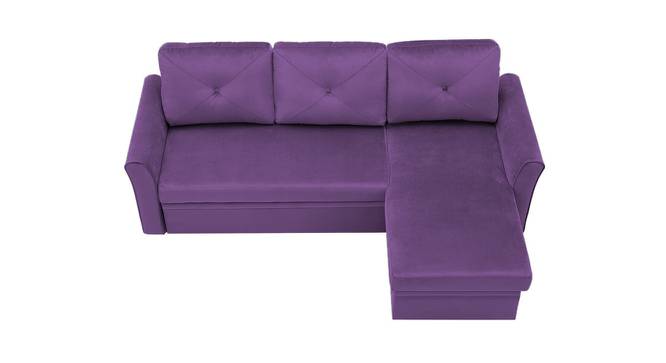 Scarlet Solid Wood Sofa cum Bed in Purple (Purple) by Urban Ladder - Front View Design 1 - 567609
