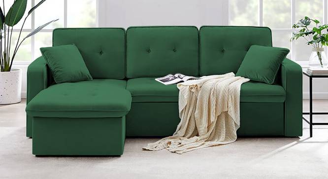 William Solid Wood Sofa cum Bed in Cream (Cream) by Urban Ladder - Front View Design 1 - 567618