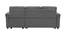 Scarlet Solid Wood Sofa cum Bed in Dark Grey (Dark Grey) by Urban Ladder - Design 1 Side View - 567647