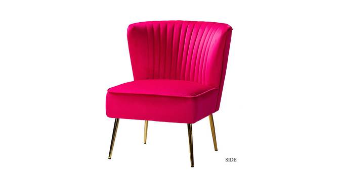 Fission Bar Chair in Pink Colour (Pink) by Urban Ladder - Front View Design 1 - 567709
