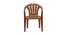 David Plastic Outdoor Chair - Set of 4 (Brown) by Urban Ladder - Front View Design 1 - 567851
