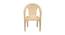 Matthew Plastic Outdoor Chair - Set of 4 (Beige) by Urban Ladder - Front View Design 1 - 567854