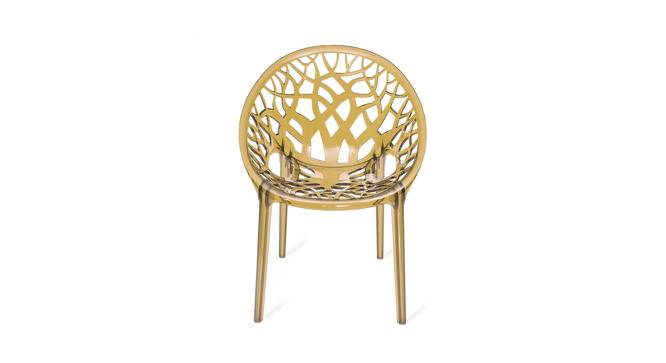 Isaiah Plastic Outdoor Chair - Set of 2 (Golden) by Urban Ladder - Front View Design 1 - 567862