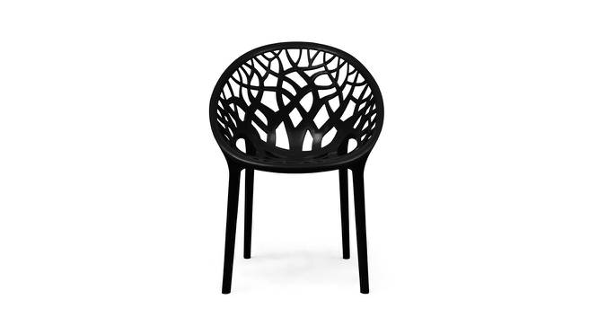 Nathan Plastic Outdoor Chair - Set of 2 (Black) by Urban Ladder - Front View Design 1 - 567863