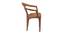 Luke Plastic Outdoor Chair - Set of 4 (Brown) by Urban Ladder - Cross View Design 1 - 567872
