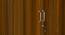 Troy 2 Door Engineered Wood Wardrobe - Classic Walnut (Melamine Finish) by Urban Ladder - Design 1 Close View - 567914