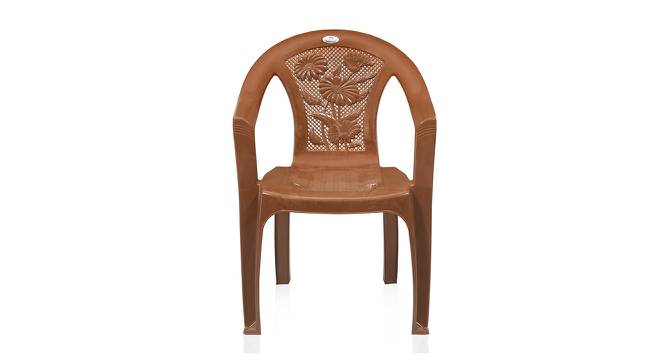 Ezra Plastic Outdoor Chair - Set of 4 (Brown) by Urban Ladder - Front View Design 1 - 567956