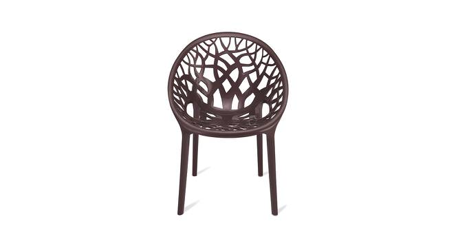 Andrew Plastic Outdoor Chair - Set of 2 (Brown) by Urban Ladder - Front View Design 1 - 568059