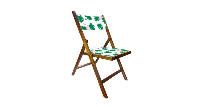 Thandiwe Solid Wood Outdoor Chair (Natural) by Urban Ladder - Front View Design 1 - 568710