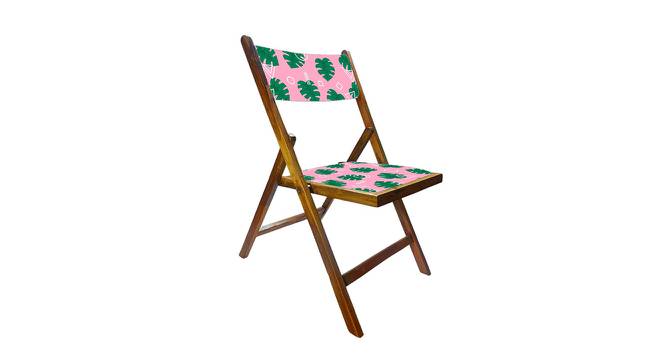 Toni Solid Wood Outdoor Chair (Natural) by Urban Ladder - Front View Design 1 - 568711
