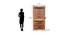 Milford Engineered Wood 2 Door Without Mirror Wardrobe (Brown) by Urban Ladder - Design 1 Dimension - 570162