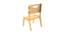 Grey Guava Solid Wood Chair -Natural (Natural, Matte Finish) by Urban Ladder - Rear View Design 1 - 570684