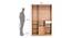 Indio Engineered Wood 3 Door Mirror Wardrobe (Teak White Finish) by Urban Ladder - Design 1 Dimension - 570873