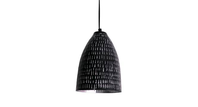 Bedelia Black Cast Iron Hanging Light (Black & Silver) by Urban Ladder - Front View Design 1 - 572262
