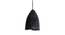 Bedelia Black Cast Iron Hanging Light (Black & Silver) by Urban Ladder - Front View Design 1 - 572262