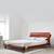 Plush solid wood queen size non storage bed lp