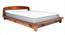 Curve Solid Wood King Size Non Storage Bed (King Bed Size, HONEY Finish) by Urban Ladder - Cross View Design 1 - 574689