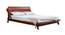 Plush Solid Wood King Size Non Storage Bed (King Bed Size, HONEY Finish) by Urban Ladder - Cross View Design 1 - 574693