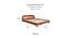 Curve Solid Wood King Size Non Storage Bed (King Bed Size, HONEY Finish) by Urban Ladder - Design 1 Details - 574779