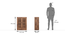 Harwin Wall Mounted Cabinet (Teak Finish) by Urban Ladder - Image 2 Design 1 - 574814