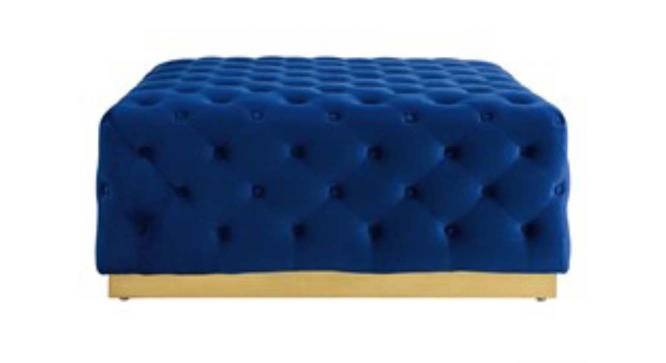Scott Ottoman in Navy Blue Colour (Royal Navy Blue) by Urban Ladder - Front View Design 1 - 574890
