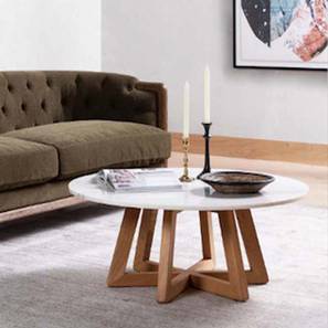 Cafetaria Table Design Round Solid Wood Coffee Table in White Stone Finish