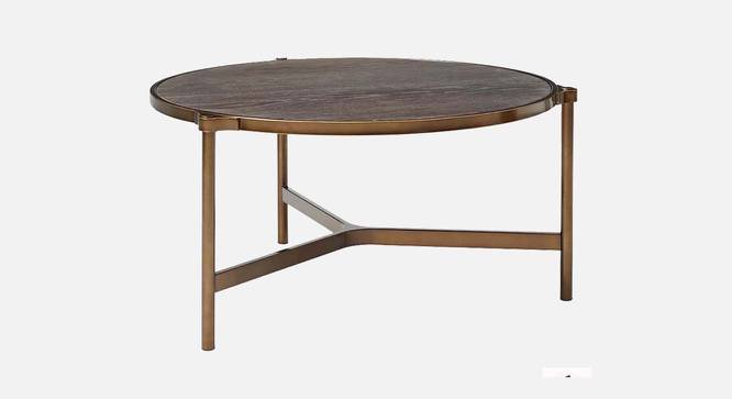 Albert Round Engineered Wood Coffee Table (Powder Coating Finish) by Urban Ladder - Cross View Design 1 - 574937