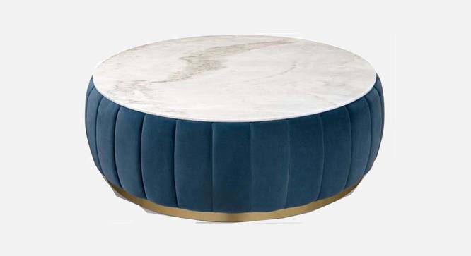 Brit Round Solid Wood Coffee Table (Velvet Finish) by Urban Ladder - Front View Design 1 - 574948