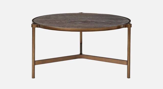 Albert Round Engineered Wood Coffee Table (Powder Coating Finish) by Urban Ladder - Front View Design 1 - 574951
