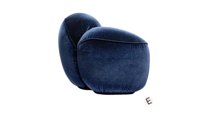 Maaria Lounge Chair (Stain Blue) by Urban Ladder - Front View Design 1 - 574957