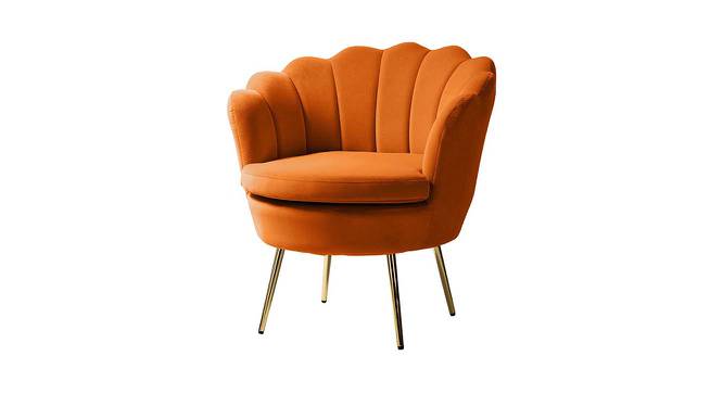 Melta Fabric Accent Chair in Orange Colour (Orange, Powder Coating Finish) by Urban Ladder - Front View Design 1 - 574998