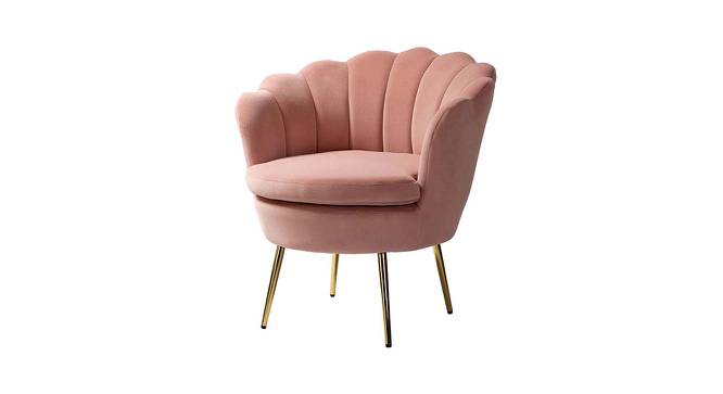 Melta Fabric Accent Chair in Pink Colour (Pink, Powder Coating Finish) by Urban Ladder - Front View Design 1 - 574999