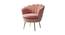 Melta Fabric Accent Chair in Pink Colour (Pink, Powder Coating Finish) by Urban Ladder - Front View Design 1 - 574999
