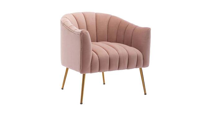 Jella Fabric Accent Chair in Pink Colour (Pink, Powder Coating Finish) by Urban Ladder - Front View Design 1 - 575000