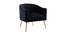Jella Fabric Accent Chair in Black Colour (Black, Powder Coating Finish) by Urban Ladder - Front View Design 1 - 575001
