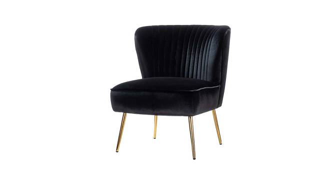 Beato Fabric Accent Chair in Black Colour (Black, Powder Coating Finish) by Urban Ladder - Front View Design 1 - 575002