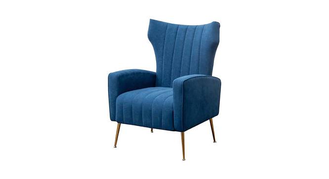 Murrow Fabric Accent Chair in Blue Colour (Blue, Powder Coating Finish) by Urban Ladder - Front View Design 1 - 575005