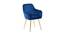 Hilsa Fabric Accent Chair in Blue Colour (Blue, Powder Coating Finish) by Urban Ladder - Front View Design 1 - 575006
