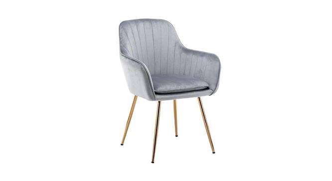 Hilsa Fabric Accent Chair in Grey Colour (Grey, Powder Coating Finish) by Urban Ladder - Front View Design 1 - 575008