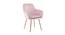 Hilsa Fabric Accent Chair in Pink Colour (Pink, Powder Coating Finish) by Urban Ladder - Front View Design 1 - 575010