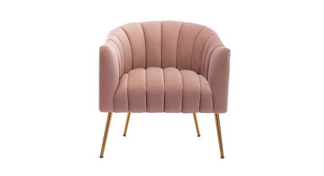 Jella Fabric Accent Chair in Pink Colour (Pink, Powder Coating Finish) by Urban Ladder - Cross View Design 1 - 575015