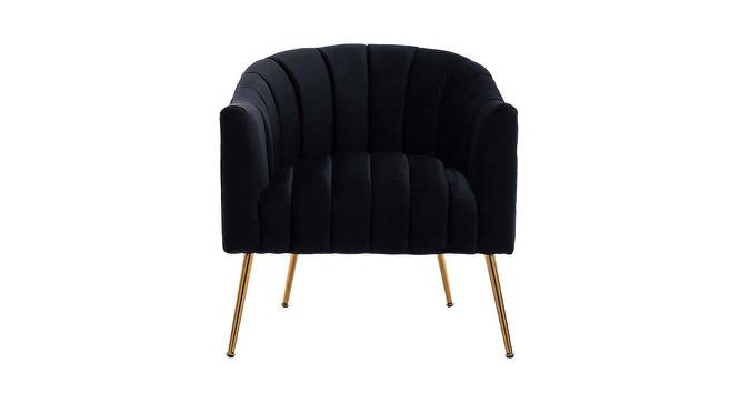 Jella Fabric Accent Chair in Black Colour (Black, Powder Coating Finish) by Urban Ladder - Cross View Design 1 - 575016