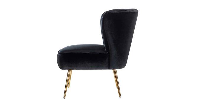 Beato Fabric Accent Chair in Black Colour (Black, Powder Coating Finish) by Urban Ladder - Cross View Design 1 - 575017