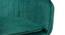 Hilsa Fabric Accent Chair in Green Colour (Green, Powder Coating Finish) by Urban Ladder - Cross View Design 1 - 575022