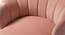 Melta Fabric Accent Chair in Pink Colour (Pink, Powder Coating Finish) by Urban Ladder - Design 1 Close View - 575043