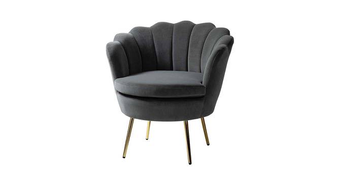 Melta Fabric Accent Chair in Grey Colour (Grey, Powder Coating Finish) by Urban Ladder - Front View Design 1 - 575081